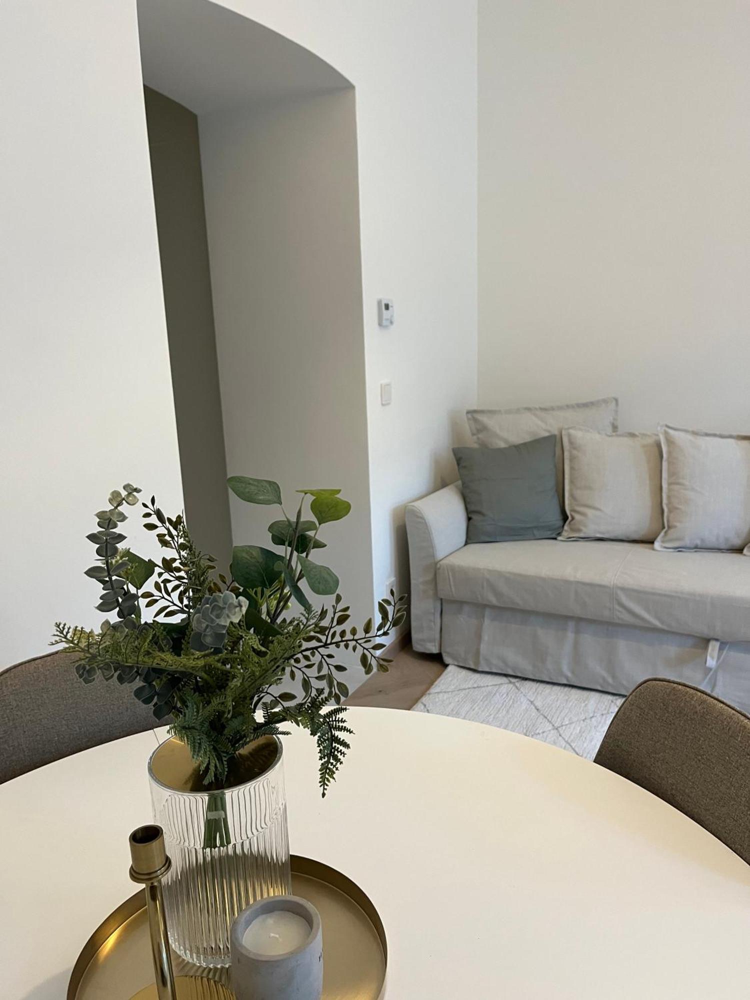 Luxurious One Room Apartment Near Schoenbrunn Palace Wien Ngoại thất bức ảnh